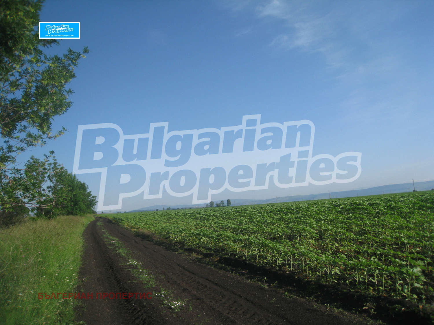 Продава ПАРЦЕЛ | Imot.bg — изображение 9