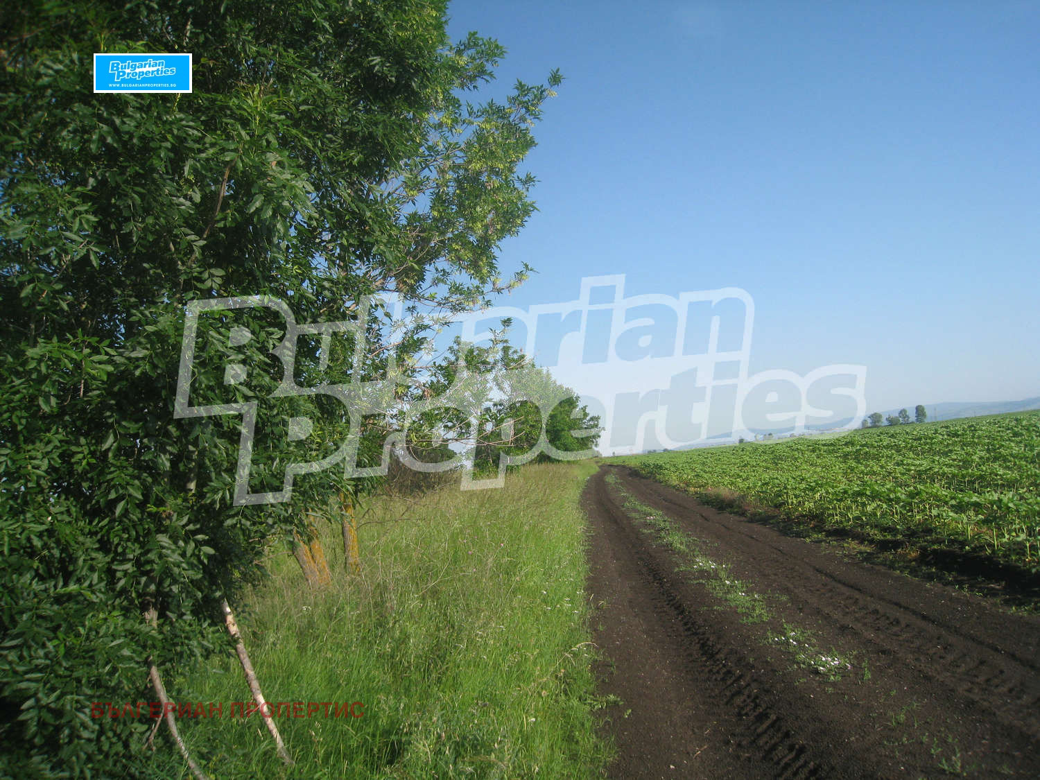 Продава ПАРЦЕЛ | Imot.bg — изображение 10