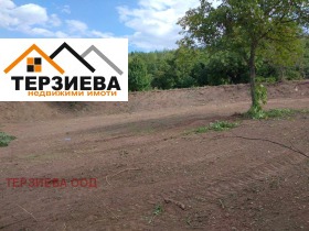 Продажба на имоти в с. Борилово, област Стара Загора — страница 2 - изображение 14 