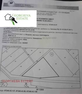 En venta Trama