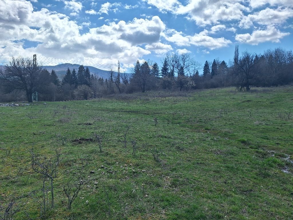 Продава ПАРЦЕЛ, гр. София, с. Владая, снимка 5 - Парцели - 47535796