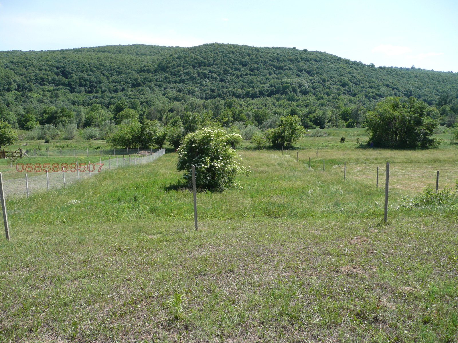 Продава ПАРЦЕЛ, с. Чешма, област Велико Търново, снимка 4 - Парцели - 54070130