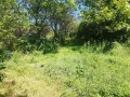 Продава ПАРЦЕЛ, с. Видрица, област Перник, снимка 2