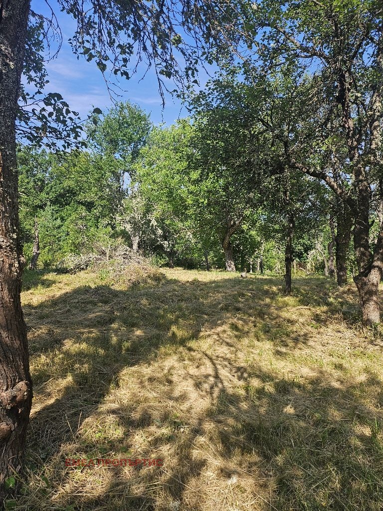 Продава КЪЩА, с. Долна Врабча, област Перник, снимка 5 - Къщи - 55318595