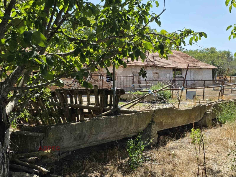 Продава БИЗНЕС ИМОТ, с. Капитановци, област Видин