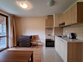 1 bedroom Bansko, region Blagoevgrad 3