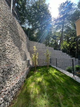 ����� ������� 2-�����,���� �����, �����