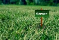 Продава ПАРЦЕЛ, град Варна, м-т Боровец - север • 59990 € • 84625569 — Holmes.bg