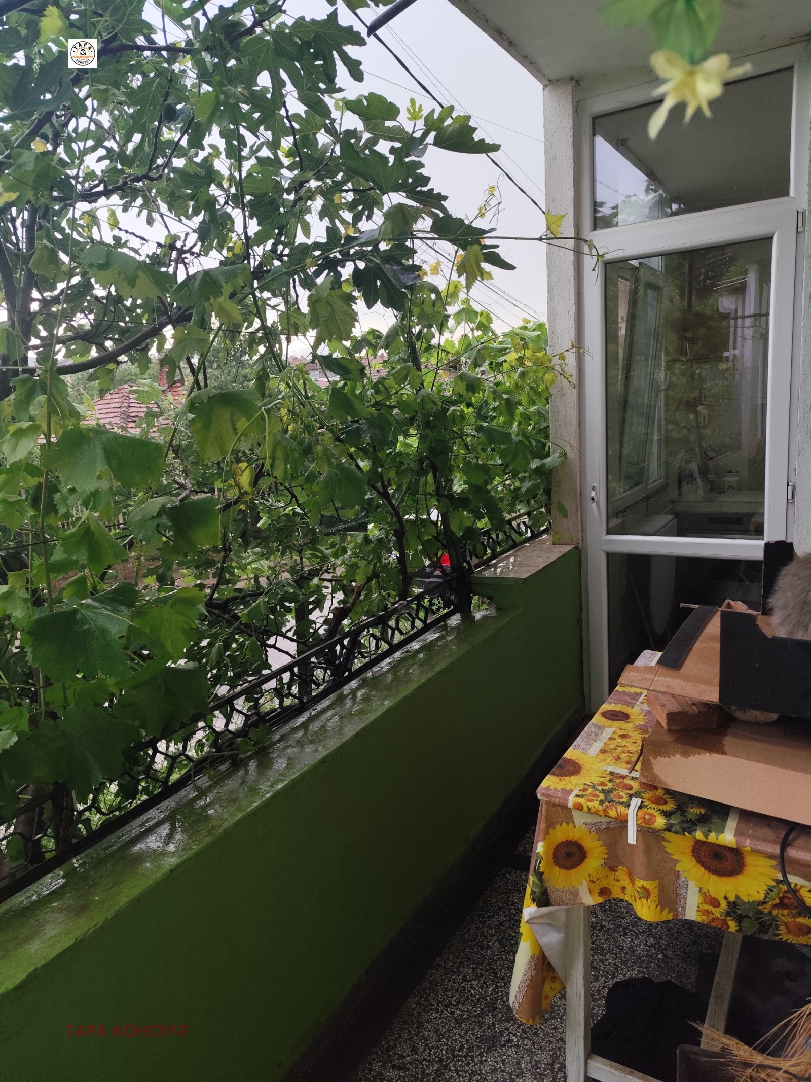 ������� 4-����� | Imot.bg � ����������� 1