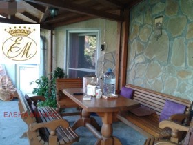 ����� ������� ����,���� �����, ������ �������