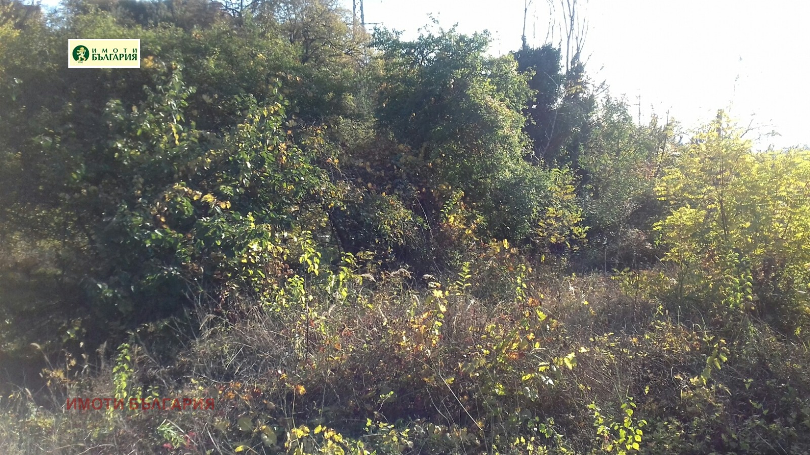 Продава ПАРЦЕЛ, гр. Варна, м-т Сълзица, снимка 2 - Парцели - 41208265