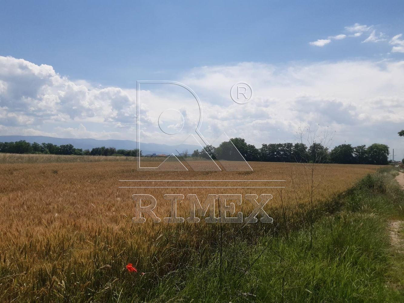 Продава ПАРЦЕЛ, с. Войводиново, област Пловдив, снимка 2 - Парцели - 46259497