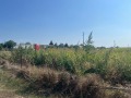 Продава ЗЕМЕДЕЛСКА ЗЕМЯ, с. Ветрино, област Варна, снимка 3