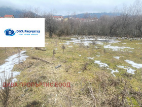 ����� ������� ������,�. ���� �����, ������ �����