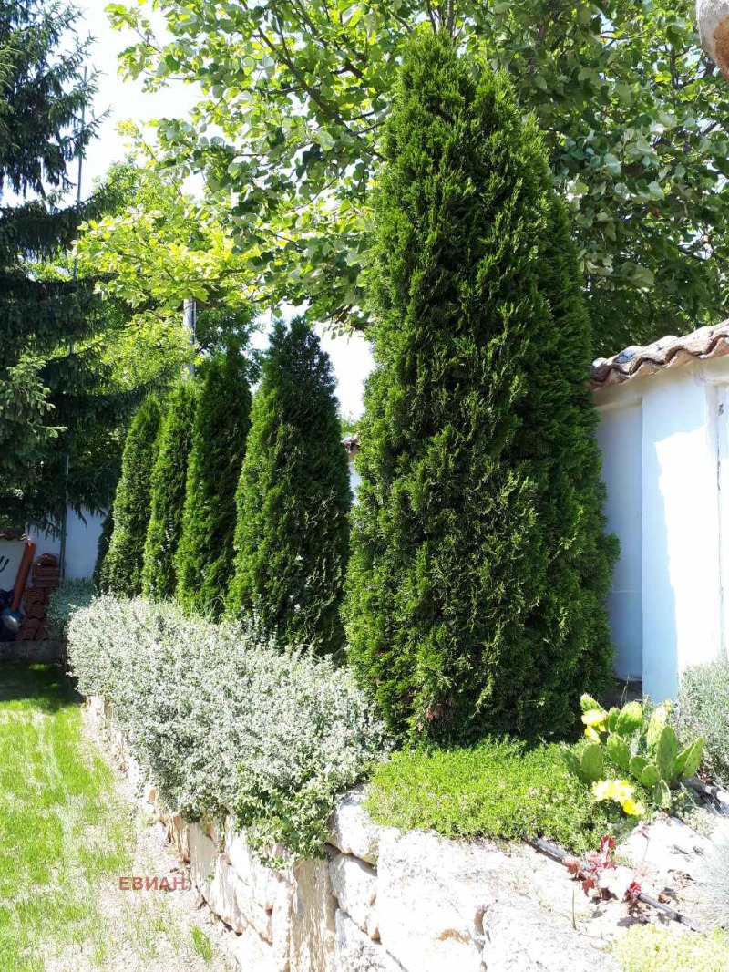 Продава КЪЩА, с. Табачка, област Русе, снимка 15 - Къщи - 52202486