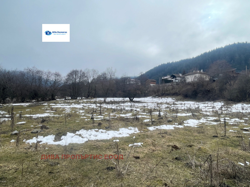 Продава ПАРЦЕЛ, с. Бели Искър, област София област, снимка 2 - Парцели - 53432161