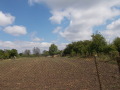 Продава ПАРЦЕЛ, с. Дъбовик, област Добрич, снимка 4