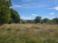 Продава ПАРЦЕЛ, с. Врабево, област Ловеч, снимка 2