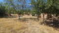 Продава ПАРЦЕЛ, област Пловдив, гр. Хисаря • 42000 € • 97978666 — Holmes.bg