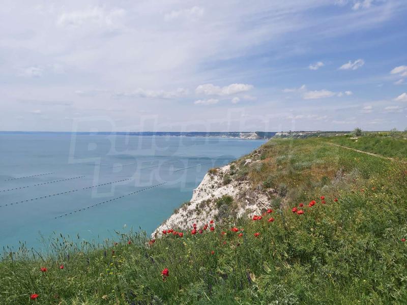 Продава ПАРЦЕЛ | Imot.bg — изображение 7