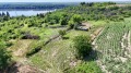 Продава ПАРЦЕЛ, с. Мечка, област Русе, снимка 2
