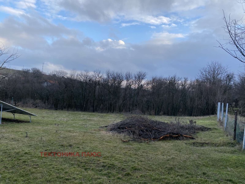 Продава БИЗНЕС ИМОТ, с. Дивотино, област Перник, снимка 12 - Други - 53434562