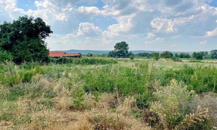 Продава ПАРЦЕЛ, с. Гроздьово, област Варна, снимка 5 - Парцели - 56193887