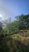 Продава ПАРЦЕЛ, с. Невша, област Варна, снимка 5