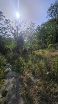 Продава ПАРЦЕЛ, с. Невша, област Варна, снимка 4