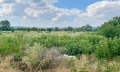 Продава ПАРЦЕЛ, с. Гроздьово, област Варна, снимка 1