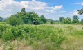 Продава ПАРЦЕЛ, с. Гроздьово, област Варна, снимка 6