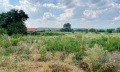 Продава ПАРЦЕЛ, с. Гроздьово, област Варна, снимка 5