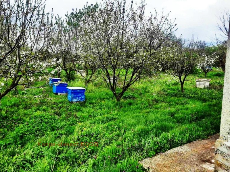 In vendita  Casa regione Dobrič , Irechek , 102 mq | 41518151 - Immagine [10]