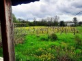 Продава КЪЩА, област Добрич, с. Иречек • 43500 € • 58455897 — Holmes.bg