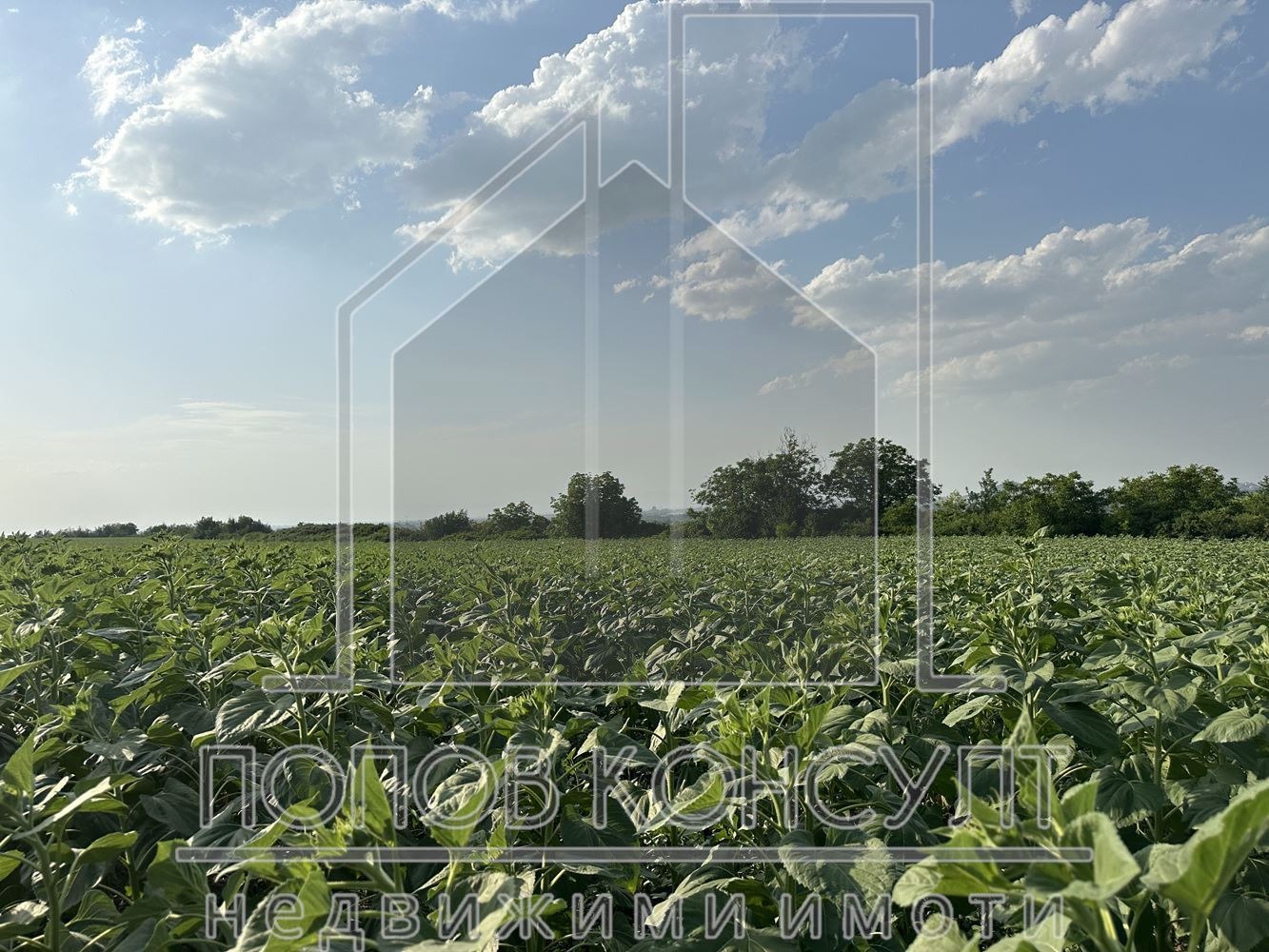 Продава ПАРЦЕЛ | Imot.bg — изображение 1