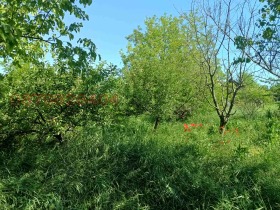 ������� ���� | Imot.bg � ����� ������ 13