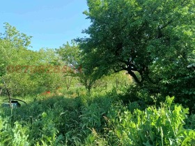 ������� ���� | Imot.bg � ����� ������ 12