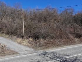 Komplott Zaja, region Gabrovo 1