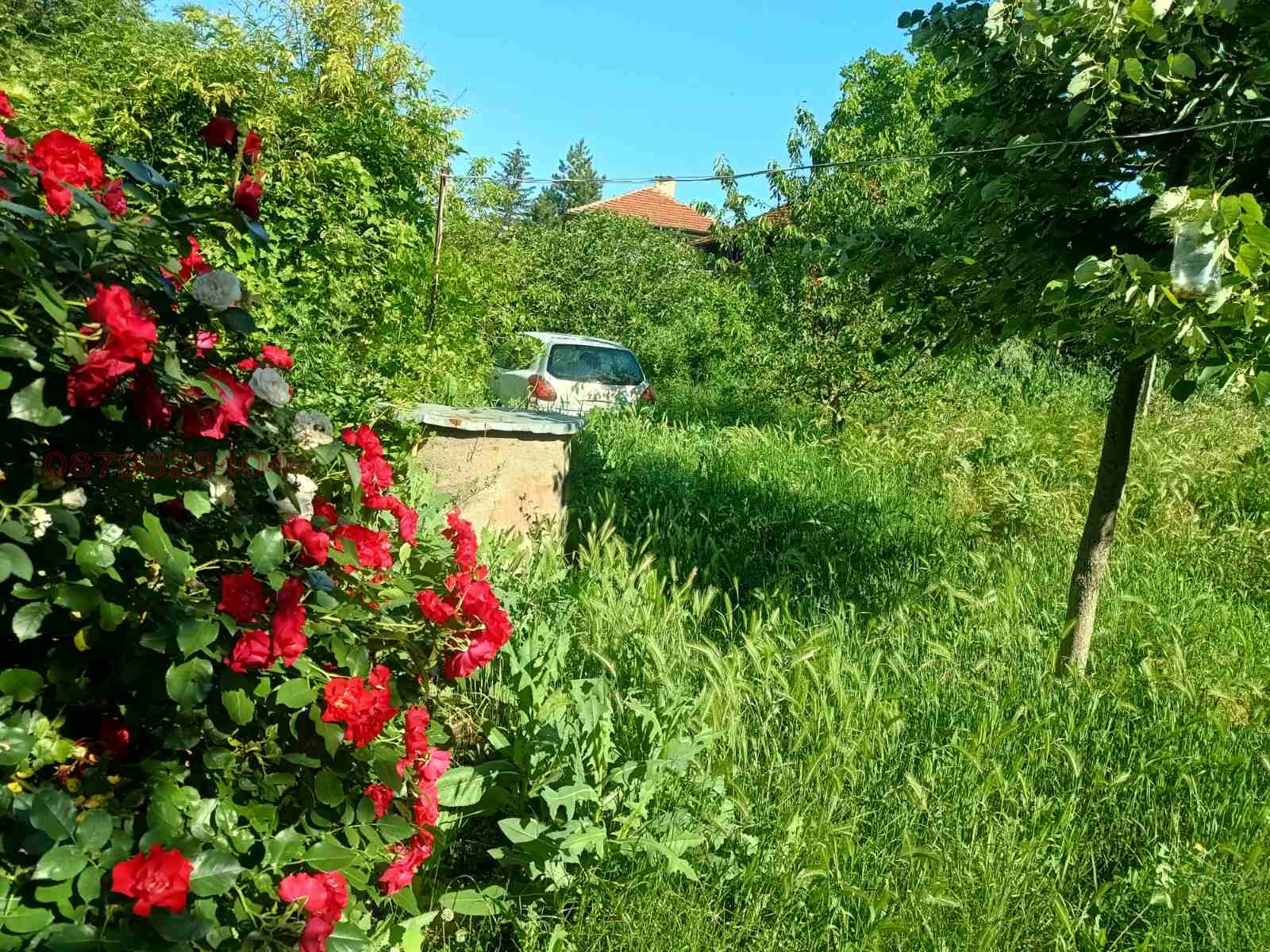 Продава КЪЩА, с. Буковец, област Видин, снимка 4 - Къщи - 54729221