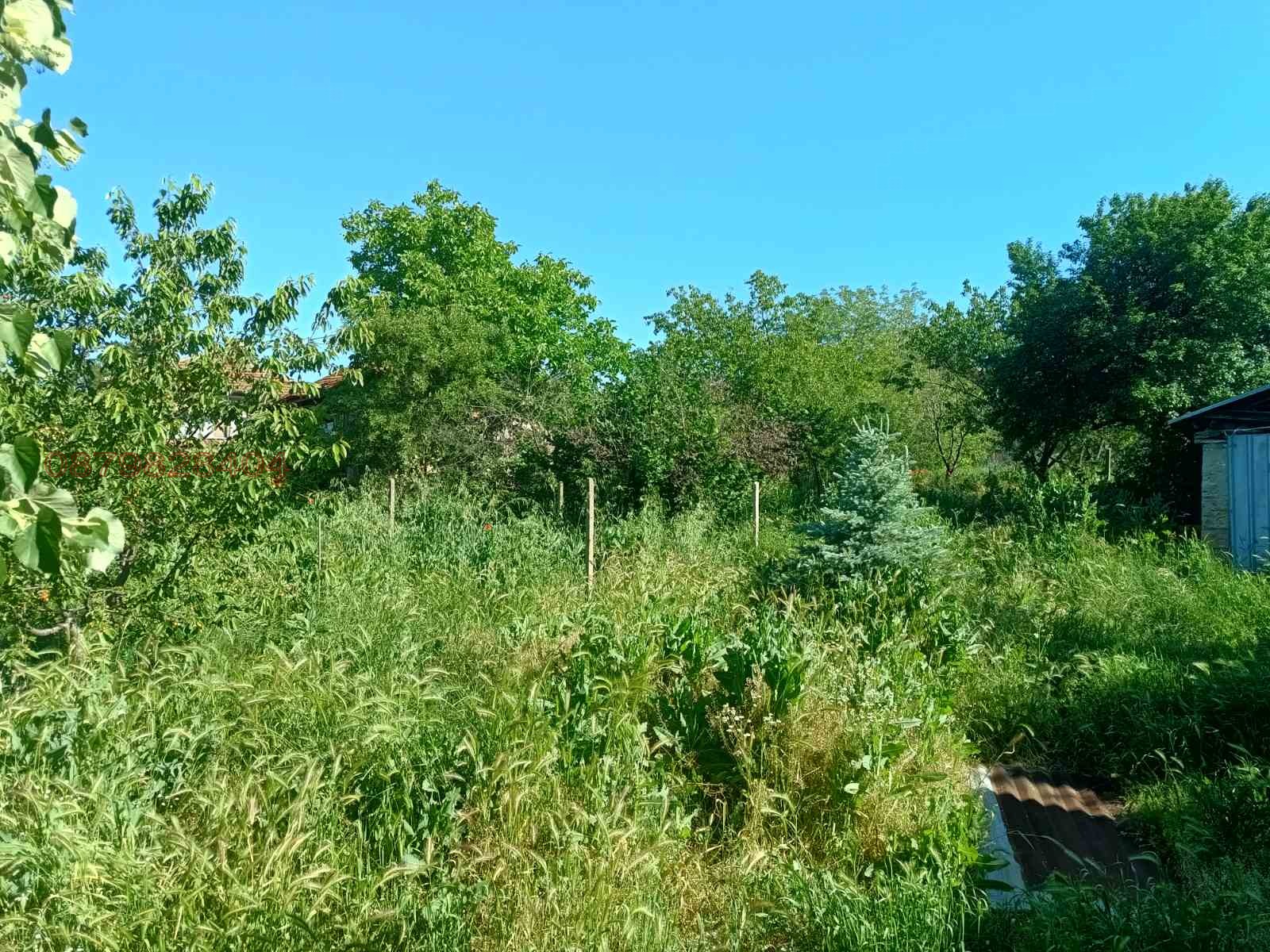 Продава КЪЩА, с. Буковец, област Видин, снимка 10 - Къщи - 54729221