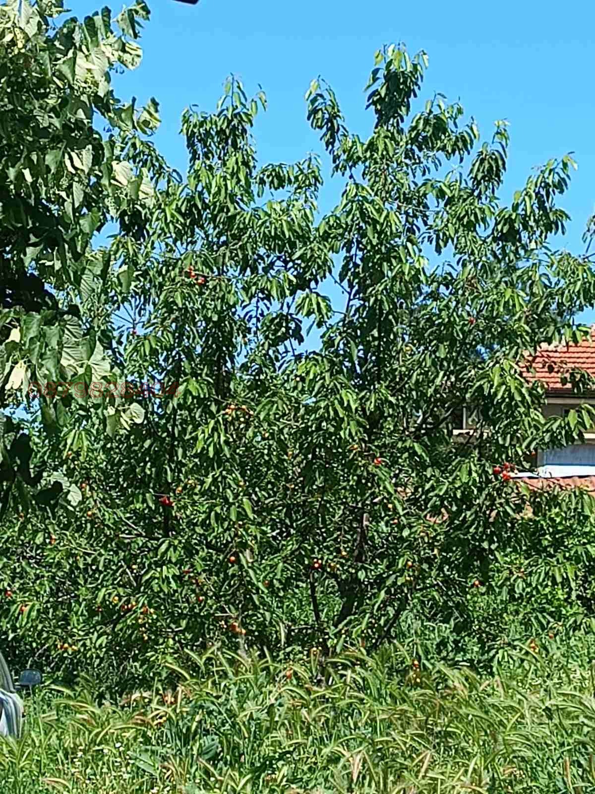Продава КЪЩА, с. Буковец, област Видин, снимка 7 - Къщи - 54729221