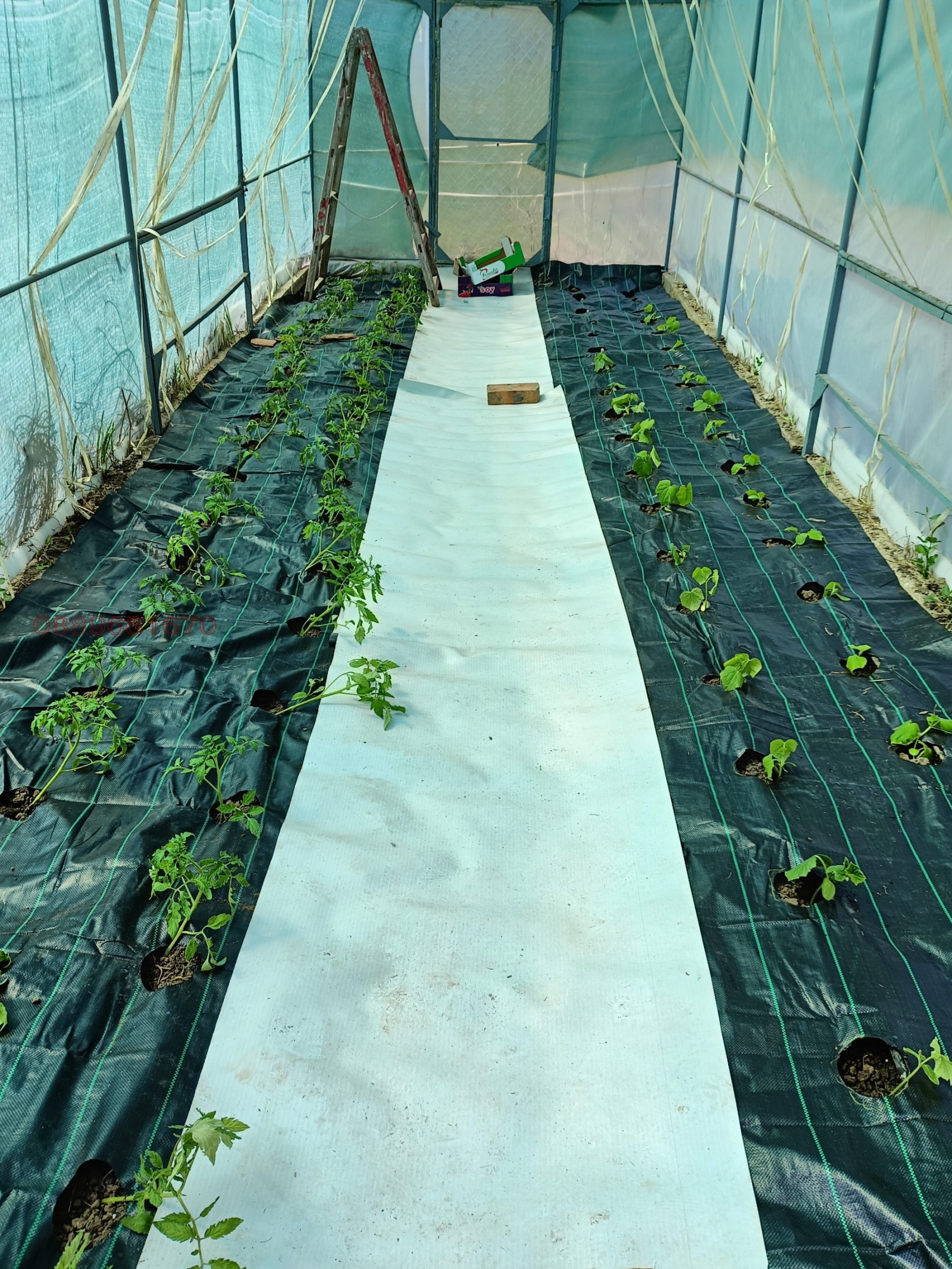 ������� ���� | Imot.bg � ����������� 14