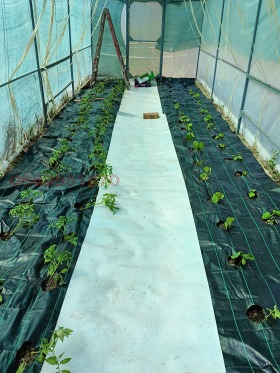 ������� ���� | Imot.bg � ����� ������ 14