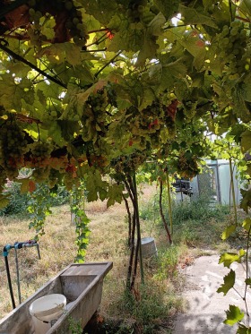 ������� ���� | Imot.bg � ����� ������ 13