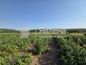 Complot Dolna bania, regiunea Sofia