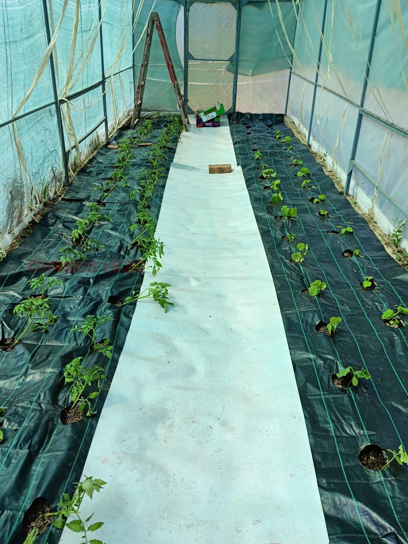 Продава КЪЩА, с. Пелишат, област Плевен, снимка 14 - Къщи - 52793304