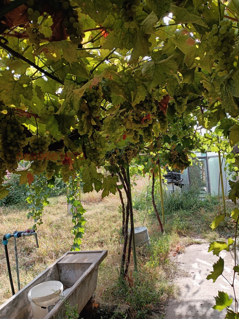 Продава КЪЩА, с. Пелишат, област Плевен, снимка 13 - Къщи - 52793304