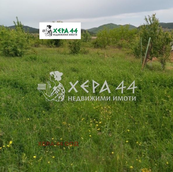 Προς πώληση  Οικόπεδο περιοχή Βάρνα , Αβρεν , 740 τ.μ | 87541049