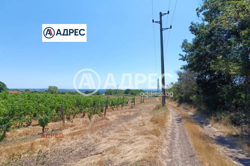 Продава  Парцел област Варна , с. Аврен , 3650 кв.м | 41335193 - изображение [2]