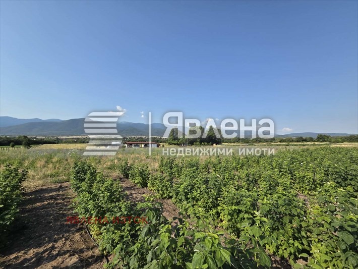 For Sale  Plot region Sofia , Dolna banya , 52411 sq.m | 89589275 - image [3]